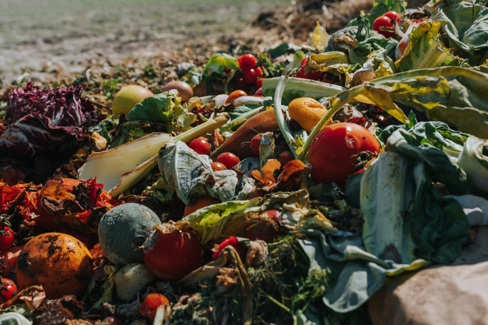 Vegetable waste pictured in Arab News’ coverage of the SIRC–Edama agreement.